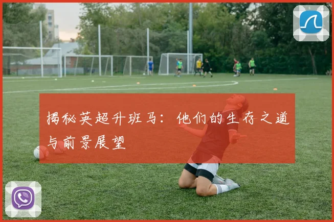 揭秘英超升班马：他们的生存之道与前景展望