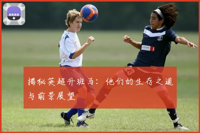 揭秘英超升班马:他们的生存之道与前景展望