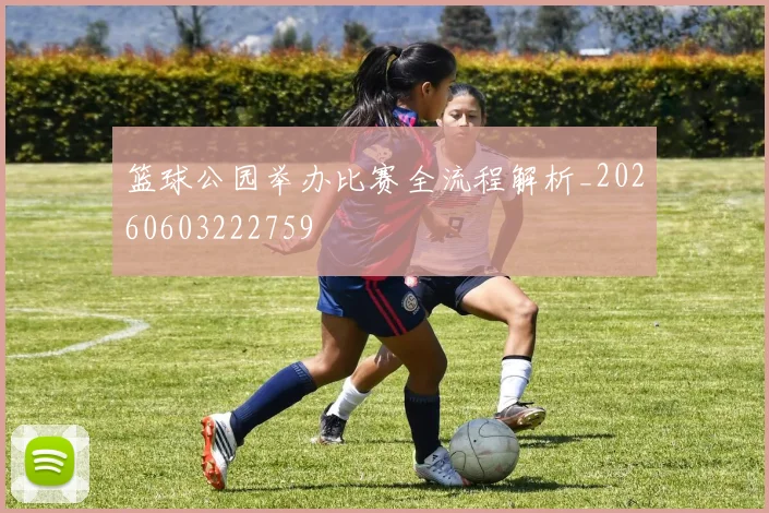篮球公园举办比赛全流程解析_20260603222759