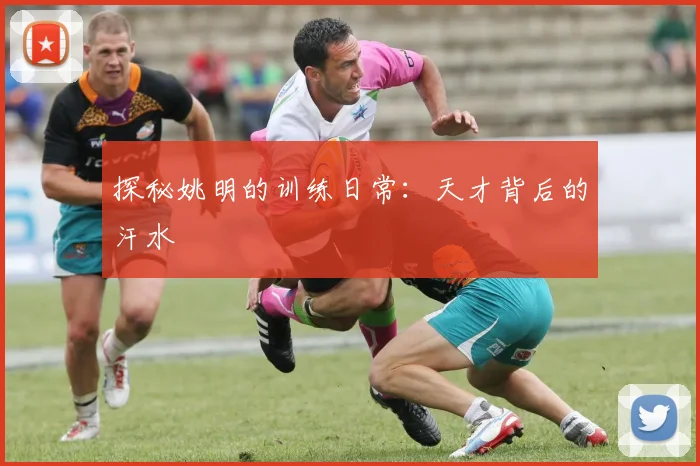 探秘姚明的训练日常:天才背后的汗水